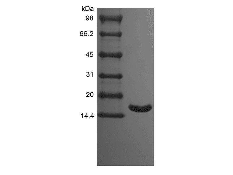 生物相关数据