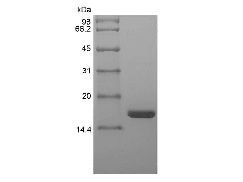 生物相关数据