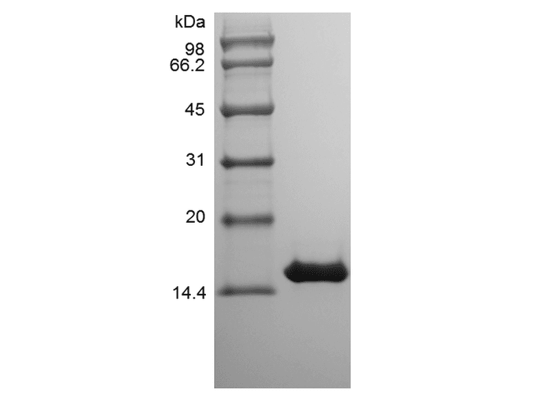 生物相关数据