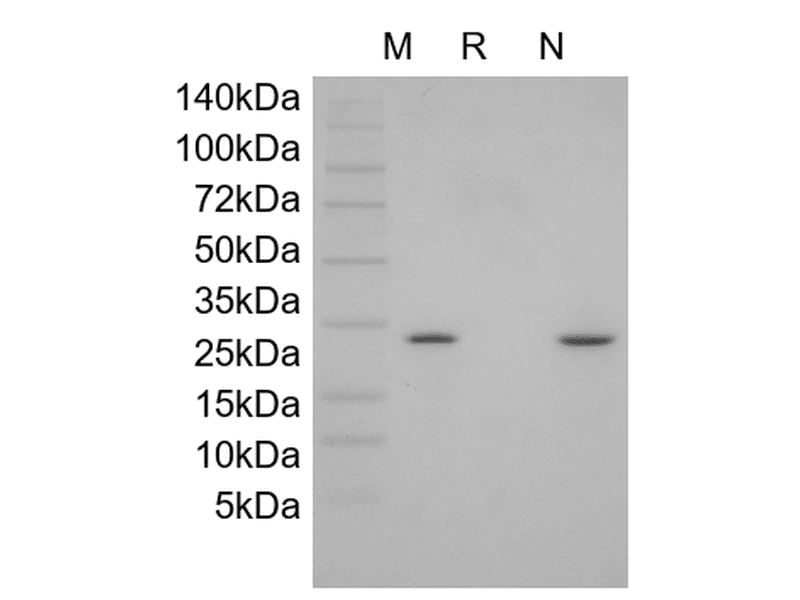 生物相关数据