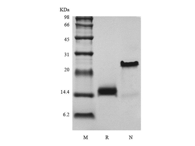 生物相关数据
