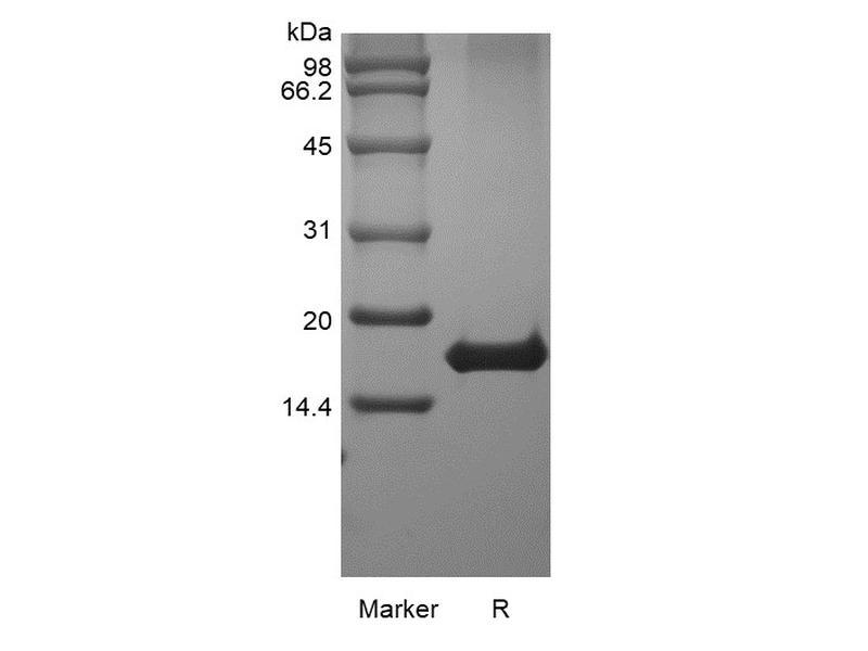 生物相关数据