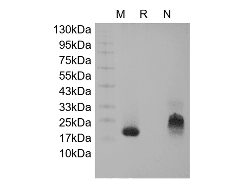 生物相关数据