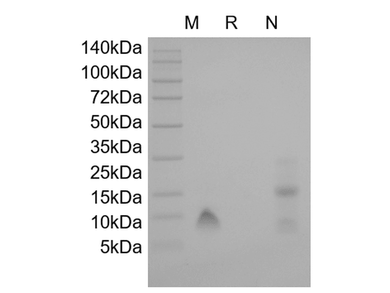 生物相关数据