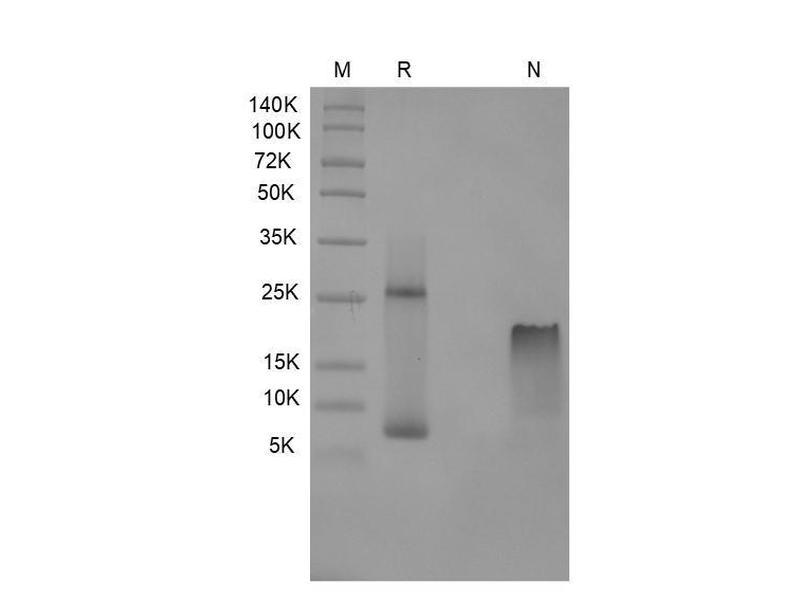 生物相关数据