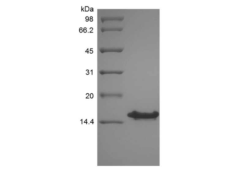 生物相关数据