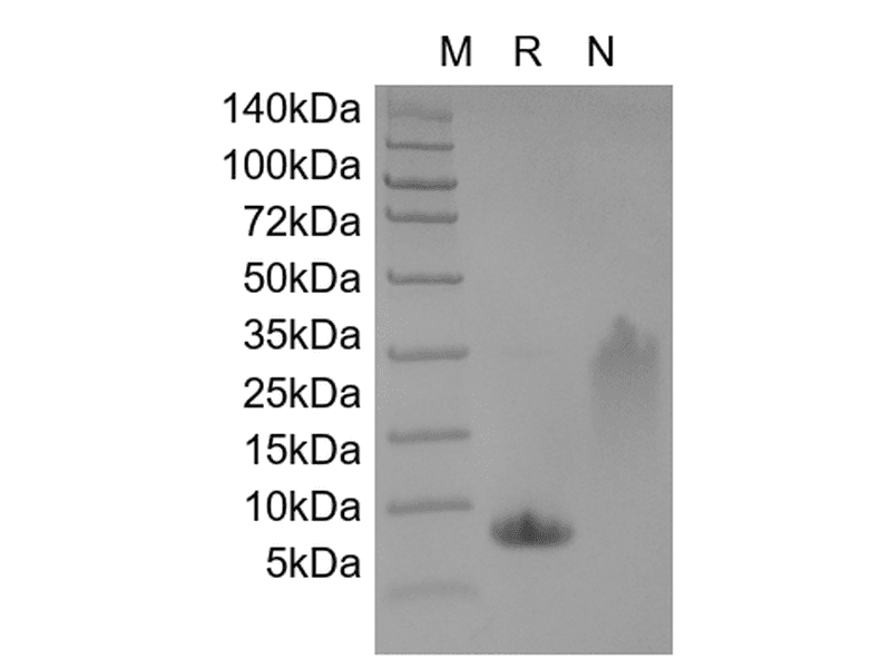 生物相关数据