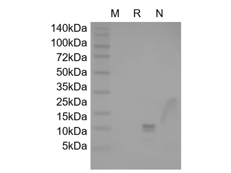 生物相关数据