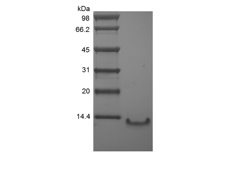 生物相关数据