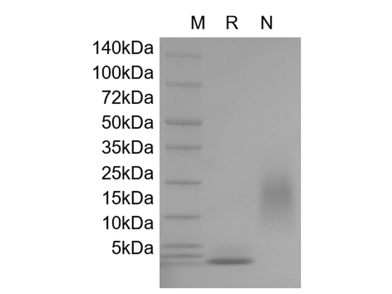 生物相关数据
