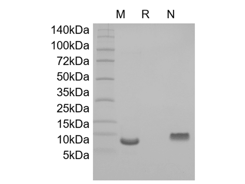 生物相关数据