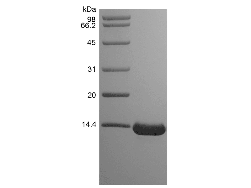 生物相关数据