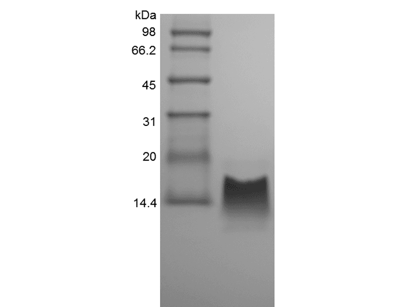 生物相关数据