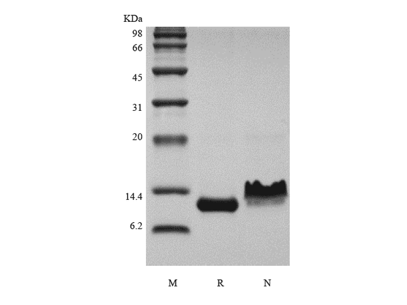生物相关数据