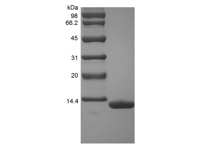 生物相关数据