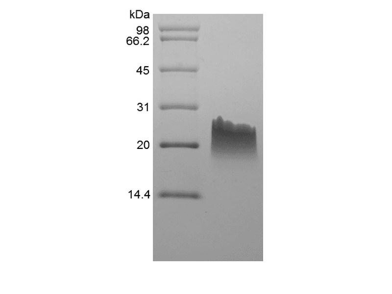 生物相关数据