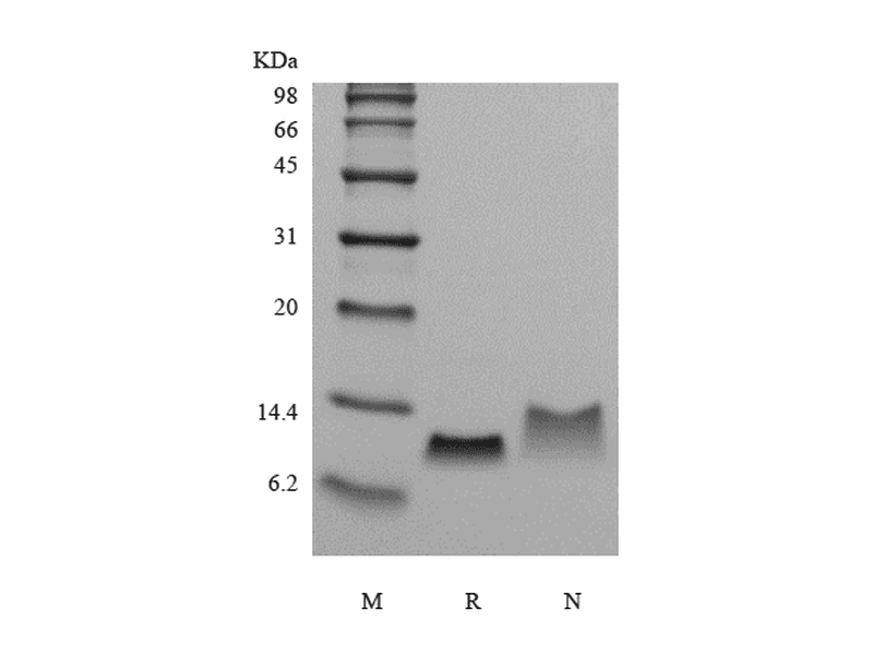 生物相关数据