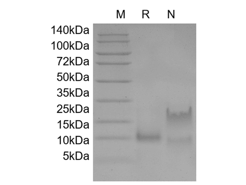 生物相关数据
