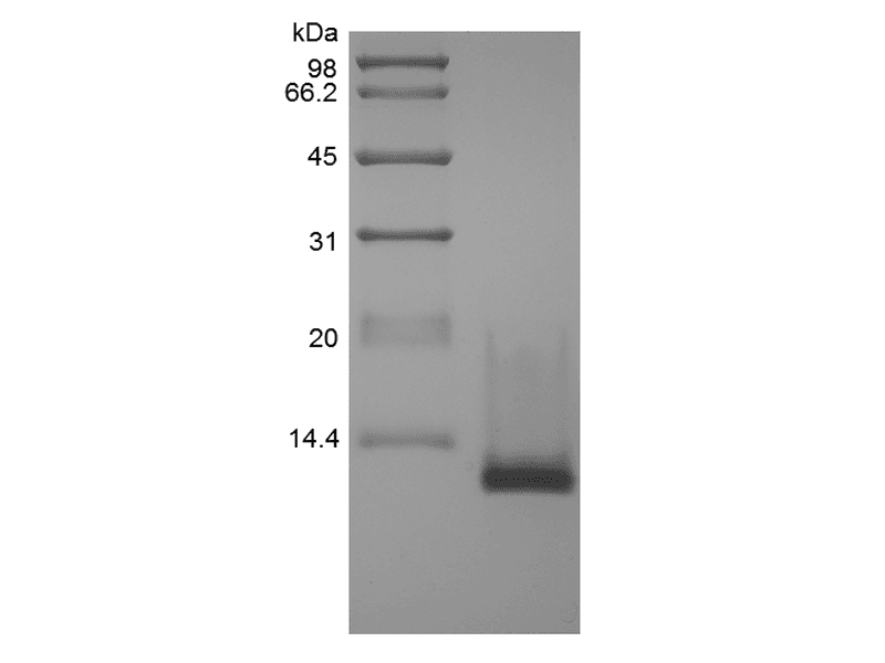 生物相关数据