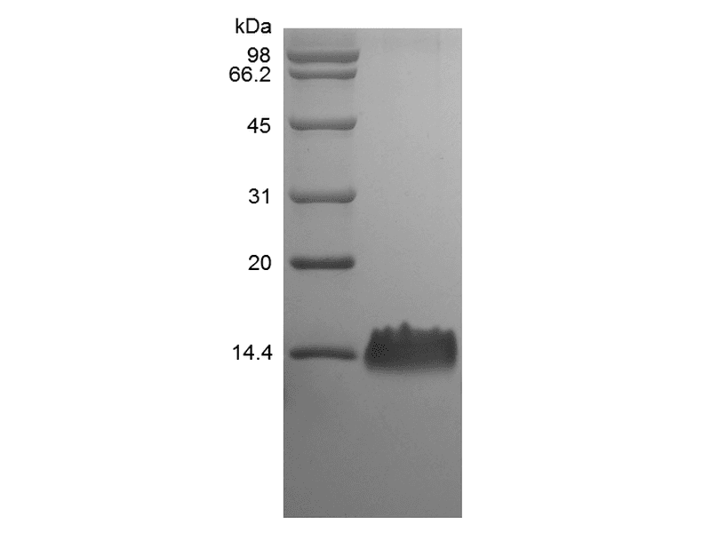 生物相关数据