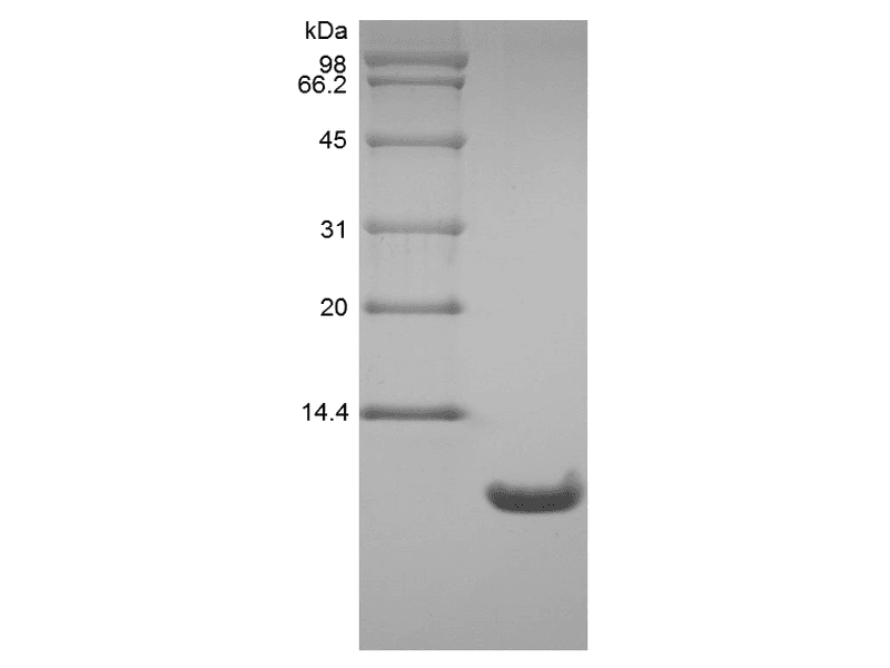 生物相关数据