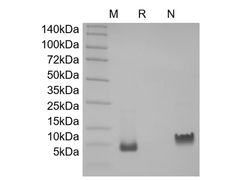 生物相关数据