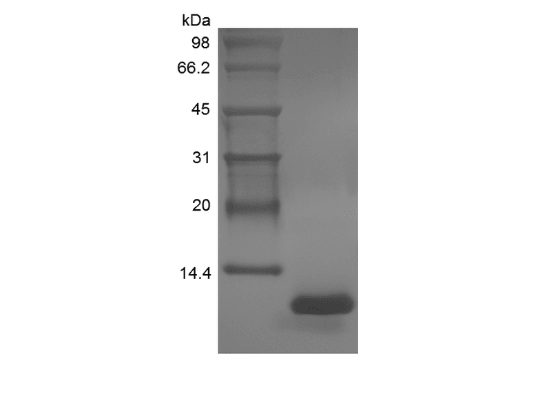 生物相关数据