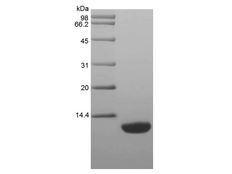 生物相关数据