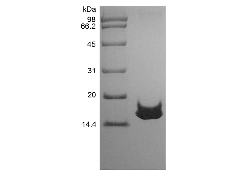 生物相关数据