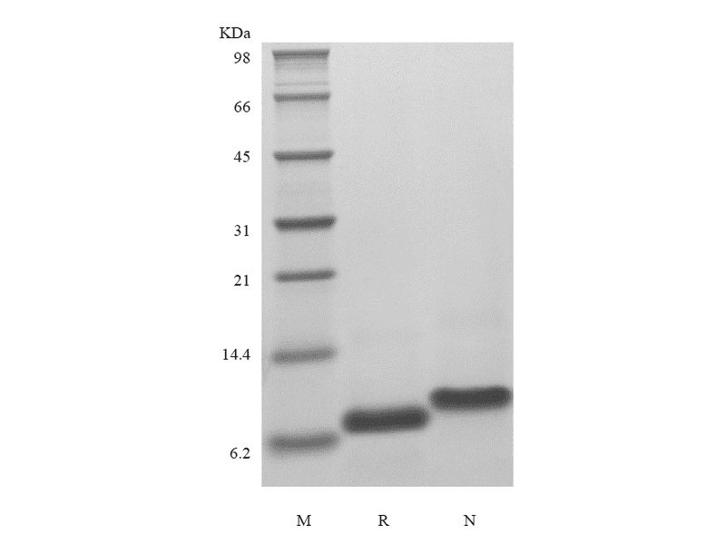 生物相关数据