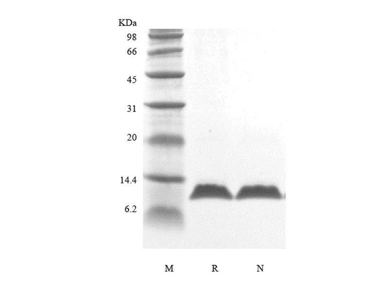 生物相关数据
