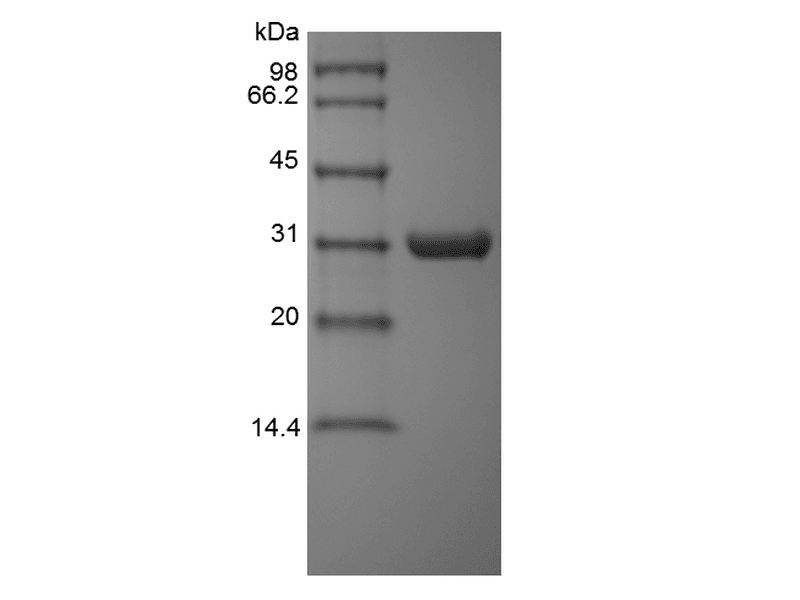 生物相关数据