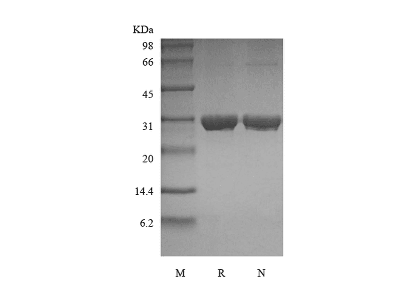 生物相关数据