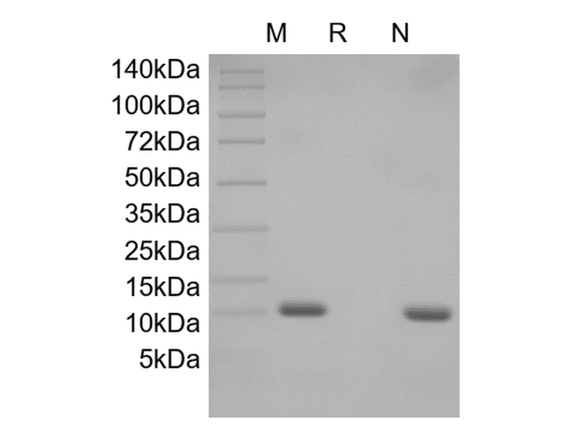 生物相关数据