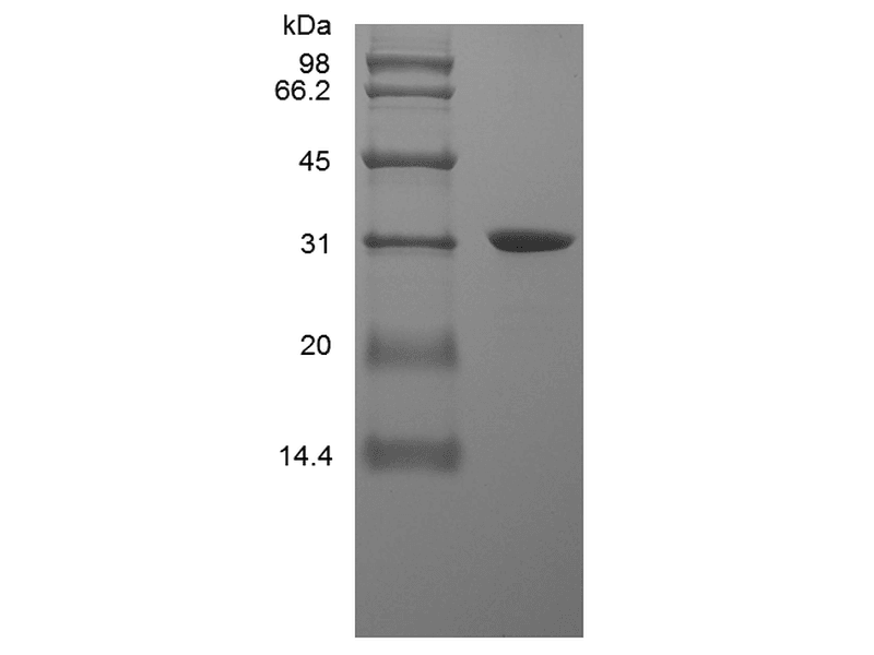 生物相关数据