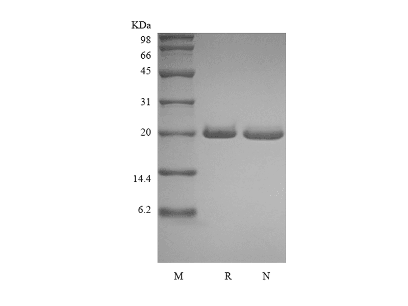 生物相关数据