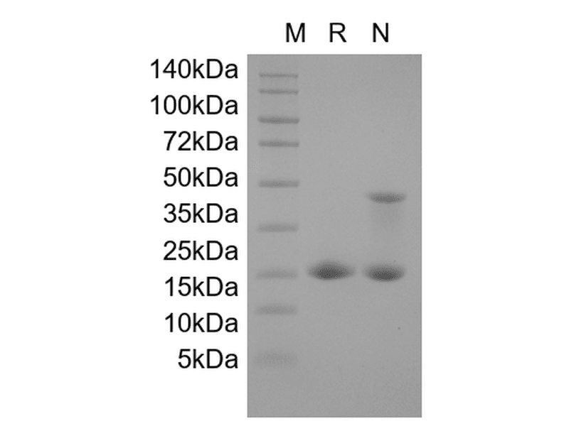 生物相关数据