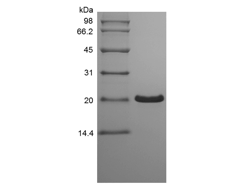 生物相关数据