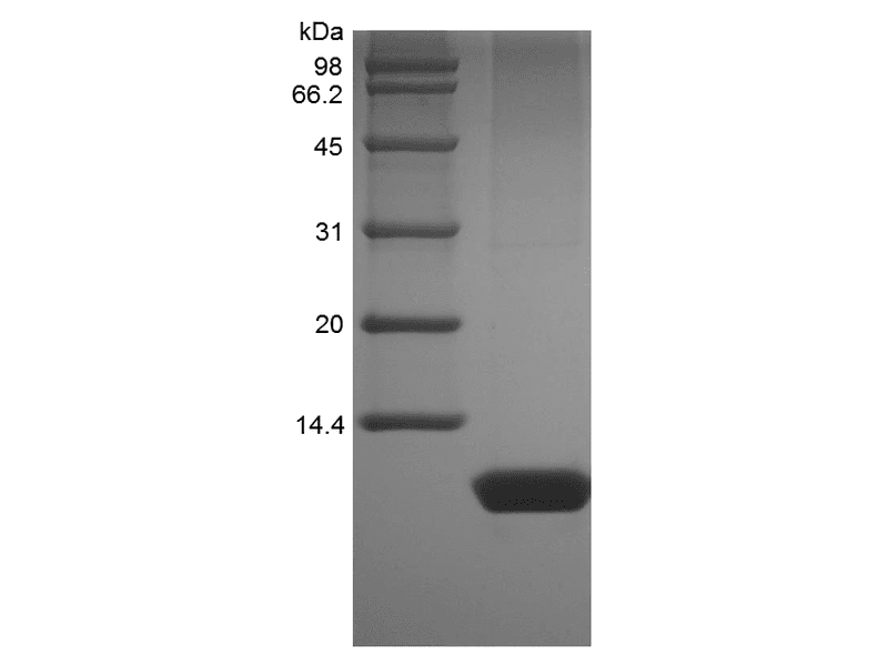 生物相关数据