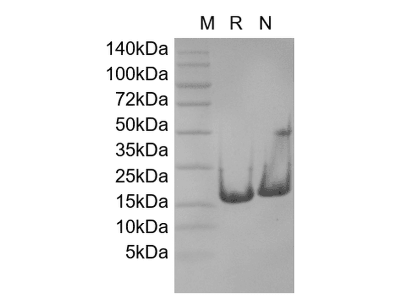 生物相关数据
