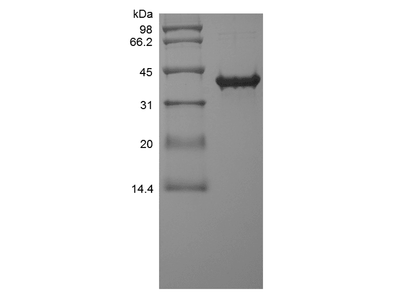 生物相关数据