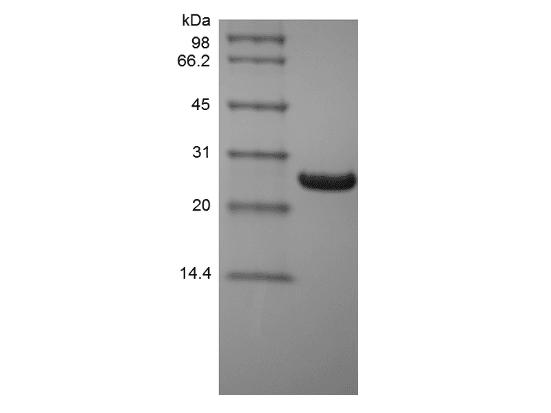 生物相关数据