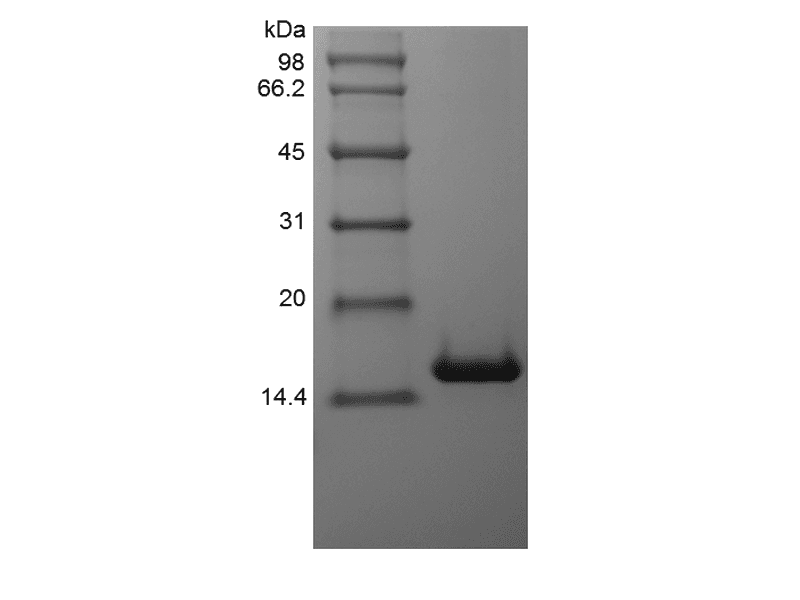 生物相关数据