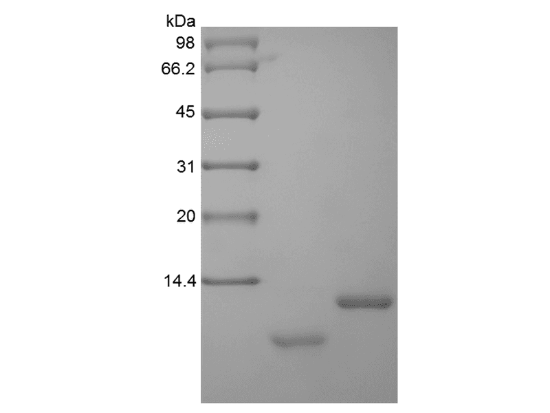生物相关数据