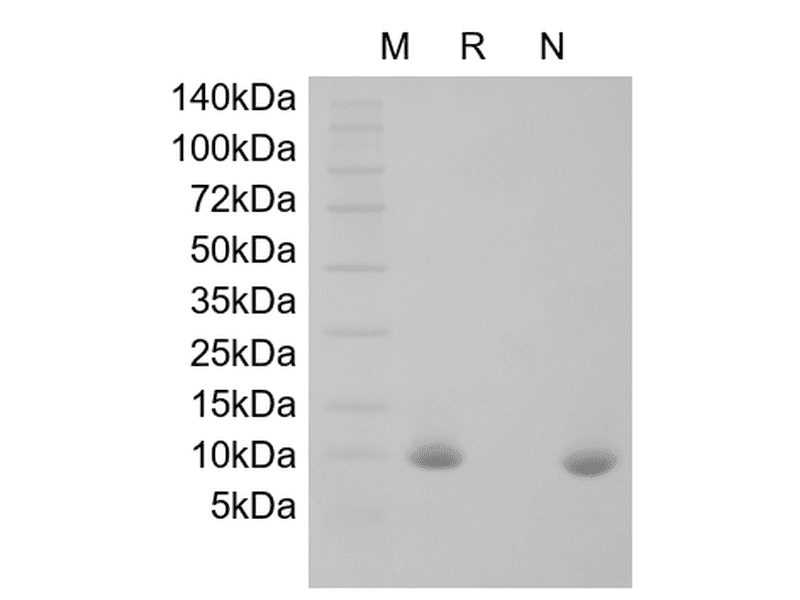 生物相关数据