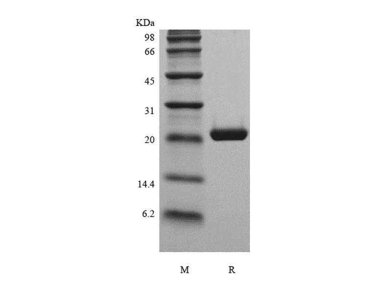 生物相关数据