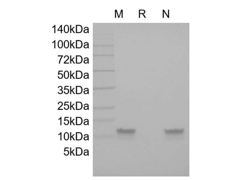 生物相关数据