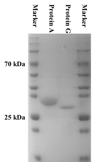 生物相关数据