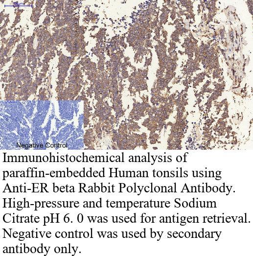 生物相关数据