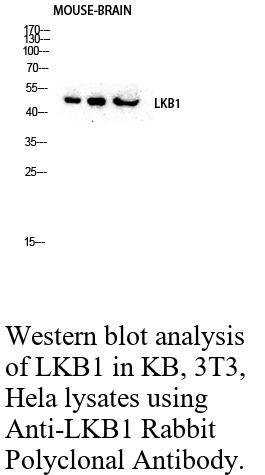 生物相关数据